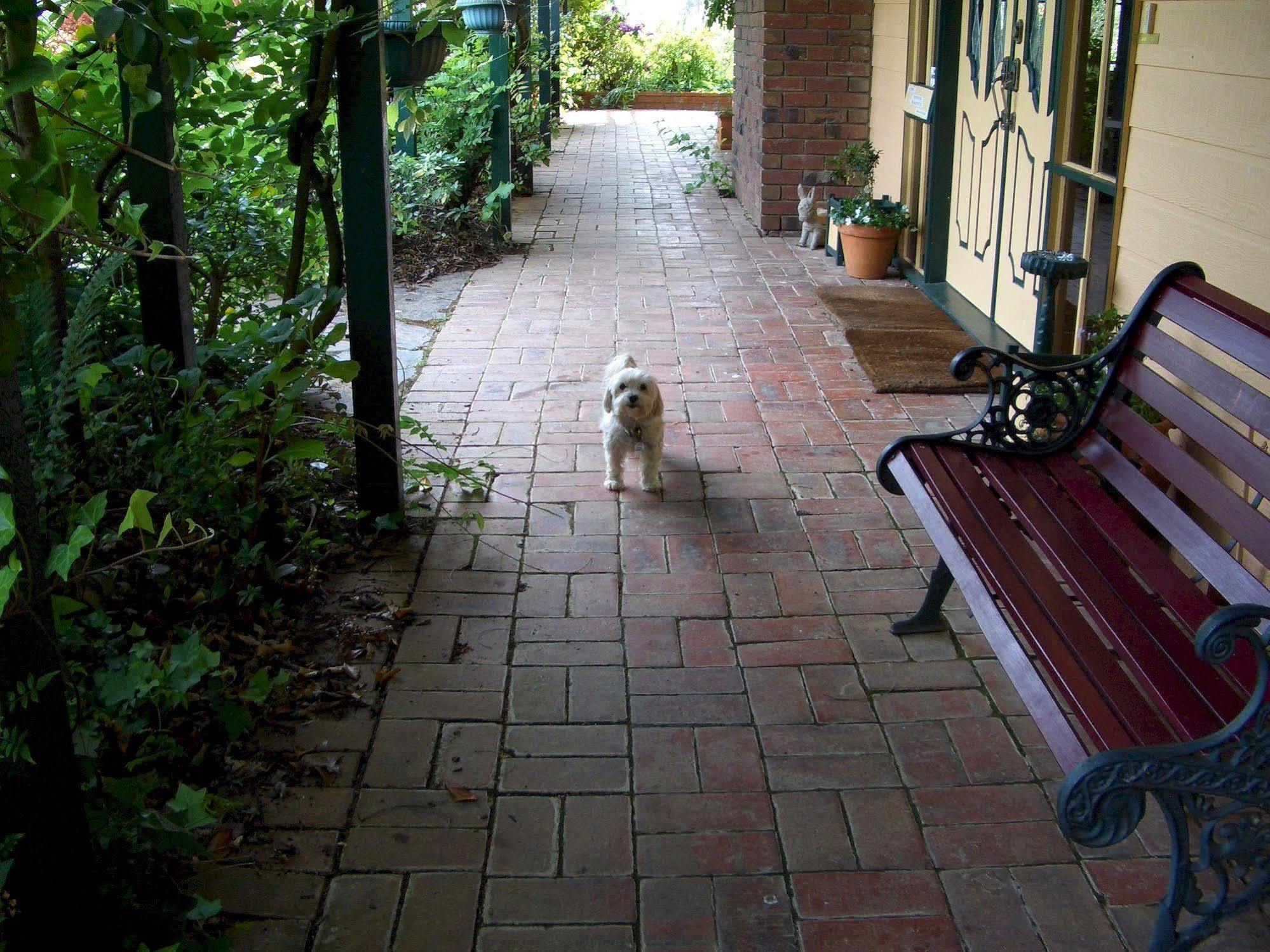 Willowlake Cottages Howqua Esterno foto